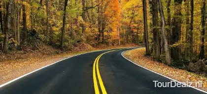 Autovakantie december